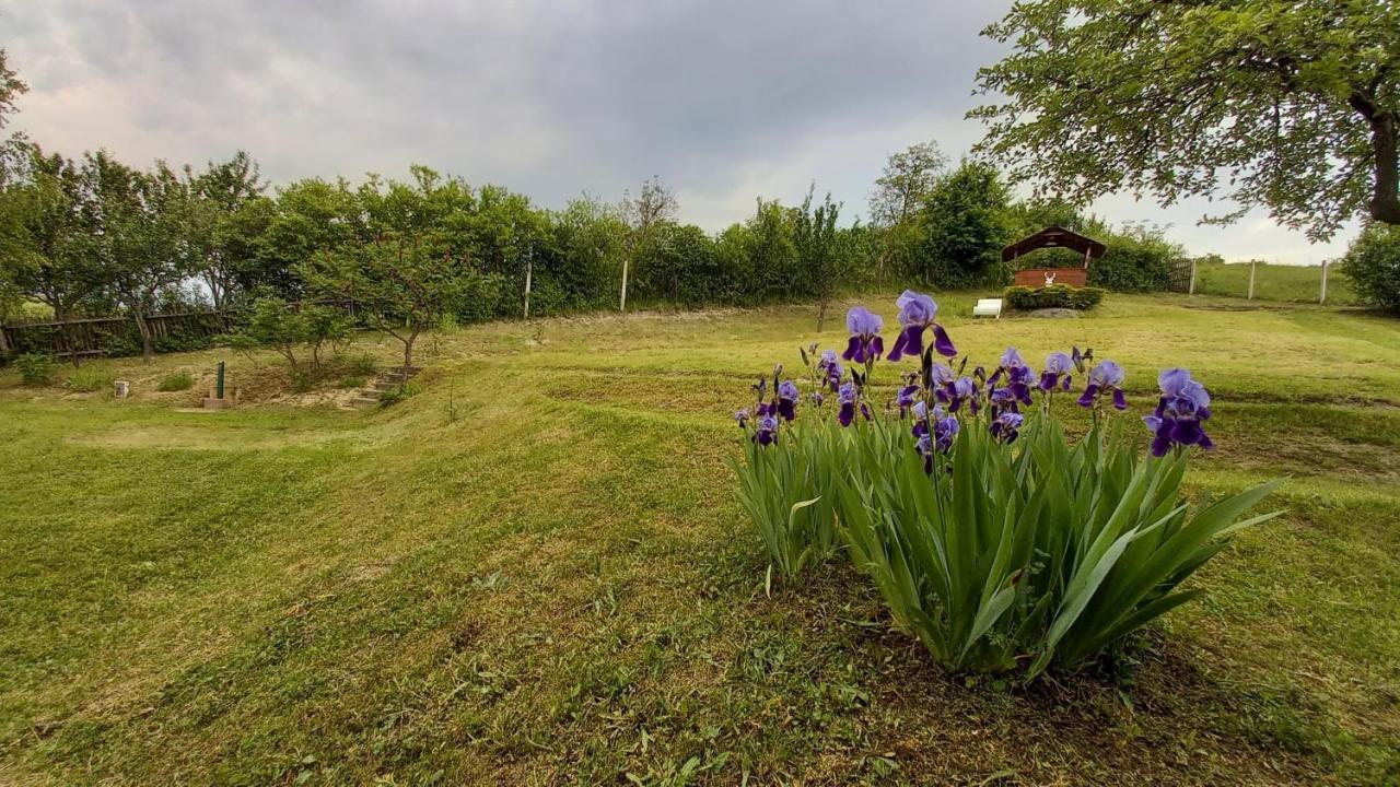 Vadaszles Vendeghaz Bukkszentmarton Exteriör bild