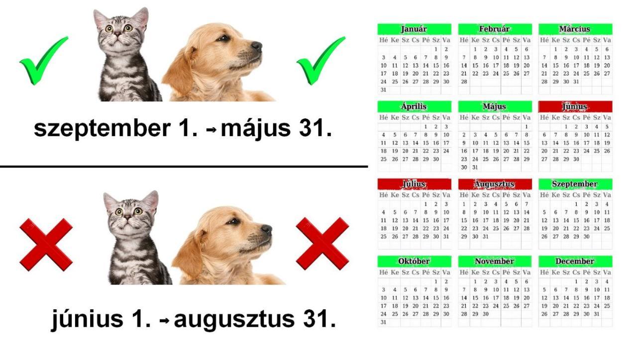 Vadaszles Vendeghaz Bukkszentmarton Exteriör bild